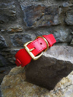Handle Dog Collar Red Leather Handle Dog Collar 2 in Dog Collar with Handle Leather Collar with Brass Hardware