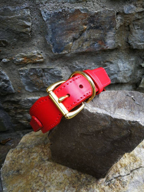 Handle Dog Collar Red Leather Handle Dog Collar 2 in Dog Collar with Handle Leather Collar with Brass Hardware