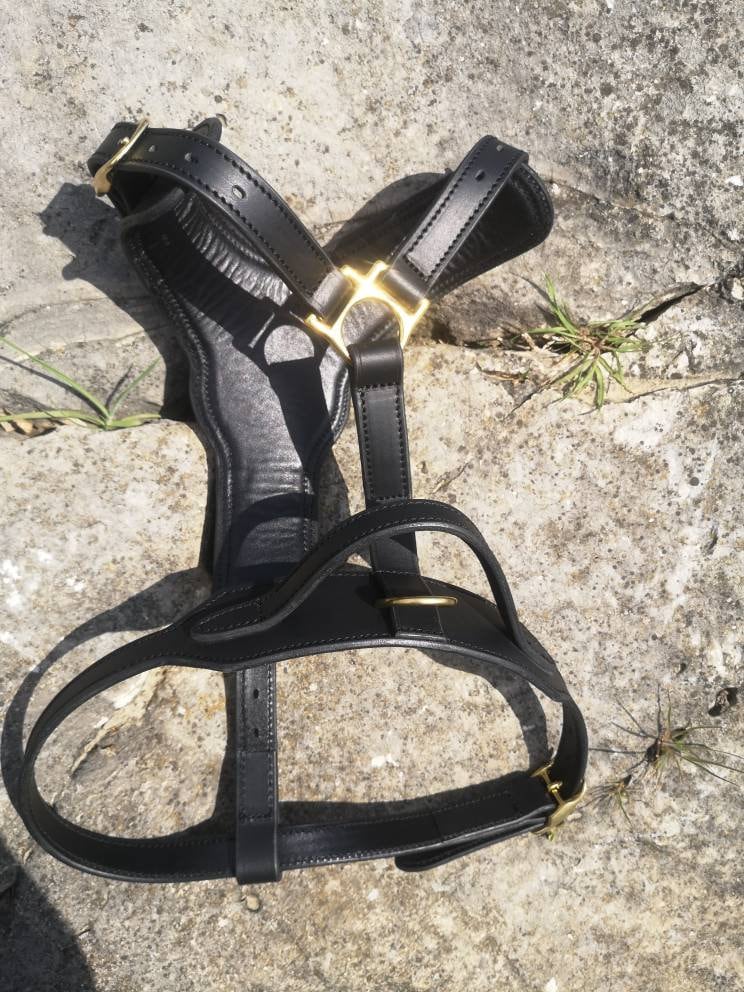 Leather Dog Harness with Handle