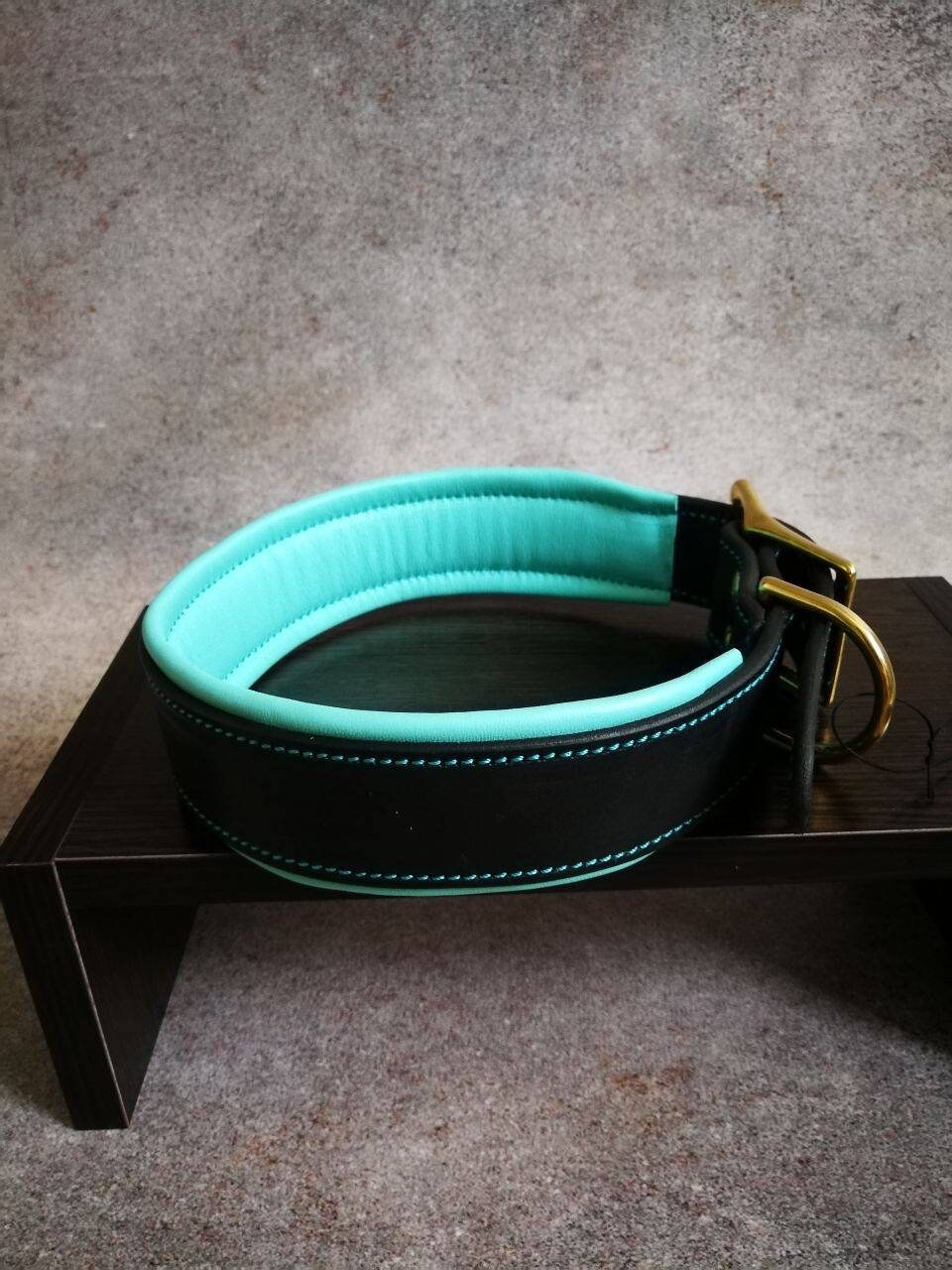 Personalised Black and Turquoise Leather Soft Padded Dog Collar, Padded Dog Collar with brass nameplate