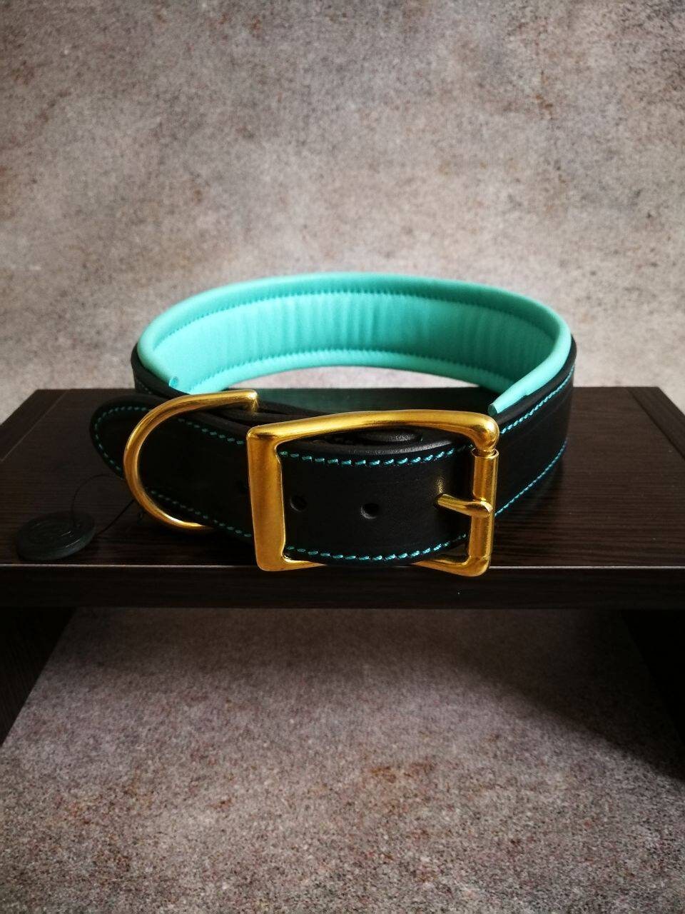 Personalised Black and Turquoise Leather Soft Padded Dog Collar, Padded Dog Collar with brass nameplate