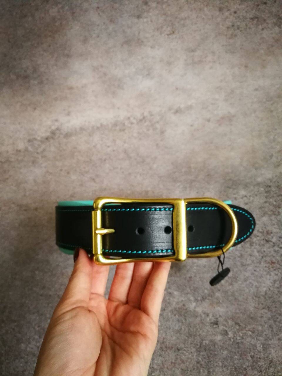 Personalised Black and Turquoise Leather Soft Padded Dog Collar, Padded Dog Collar with brass nameplate