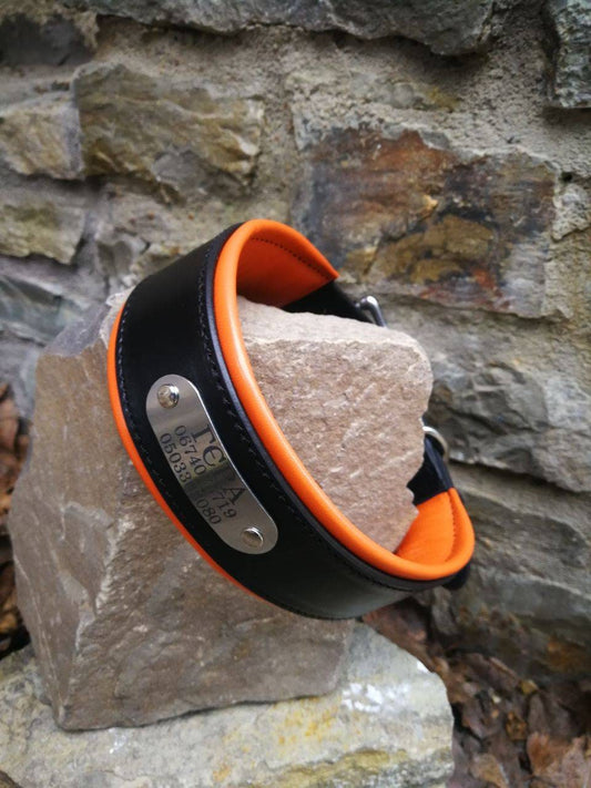 Personalized 2 in Wide Padded Leather Dog Collar with Metal Nameplate, Black Leather Name Plate Collar with Orange Padding and solid buckle