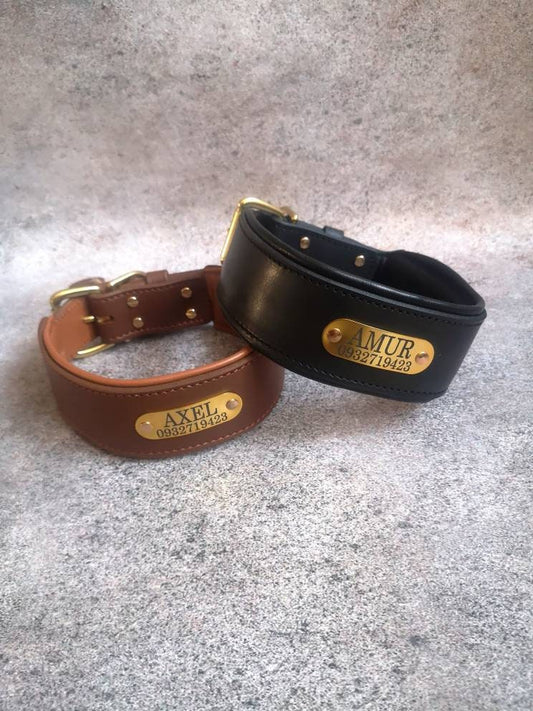 Leather Dog Collar Personalized Dog Collar with Name Plate Leather Collar 3 in Wide Padded Dog Collar for Large Breed, 2 in Leather Collar