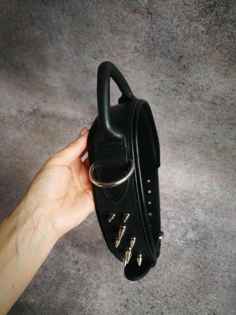 Wide Leather Dog Collar with Handle and Spikes