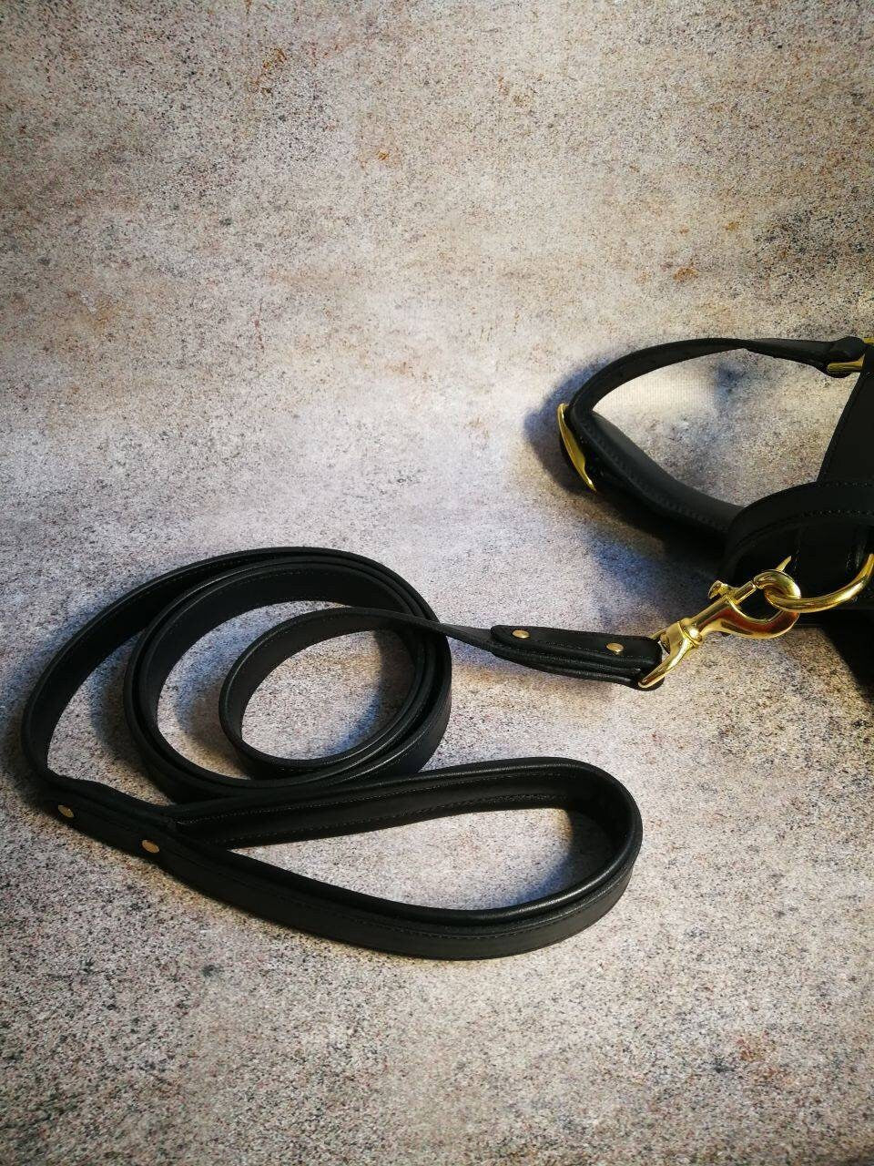 Handmade Leather Dog Harness and Leash Set Custom Dog Harness Black Leather Harness with Handle Leather Harness and Leash for  Big Dog