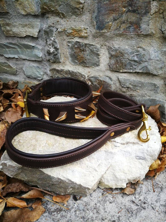 Spiked Leather Dog Collar and Leash Set Spiked Collar for Cane Corso Leather Collar for Doberman Collar for Bull Terrier Collar Rottweiler