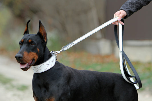 White Leather Dog Collar and Leash Set Black and White Leather Dog Set White Dog Collar and Leash White Dog Collar Wide Leather Collar