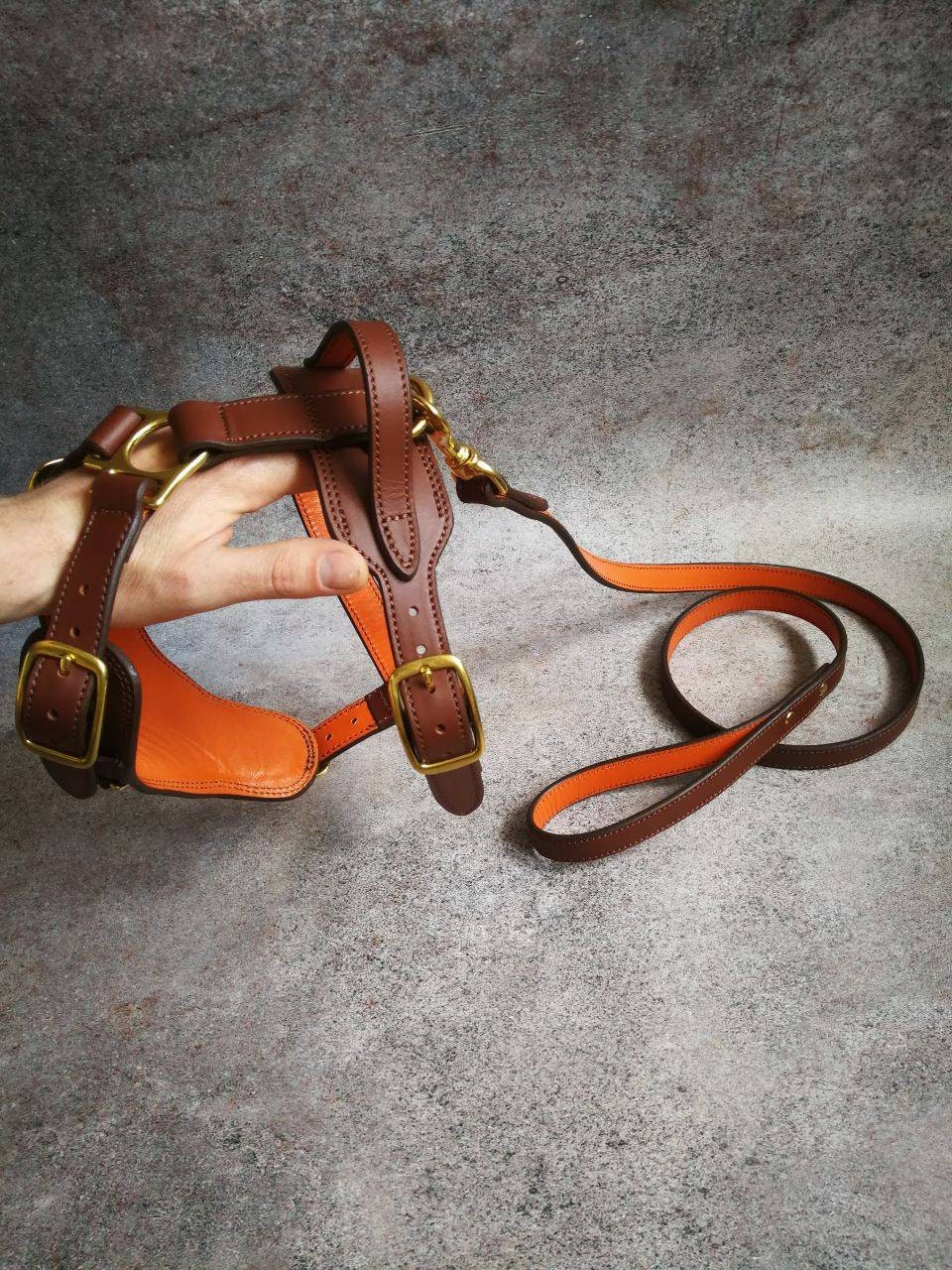 Leather harness hot sale and leash