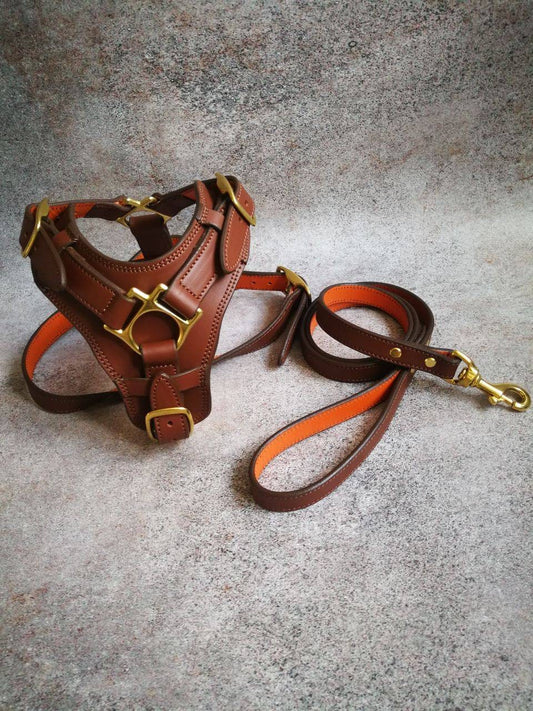 Brown Leather Dog Harness and Leash, Matching Dog Harness and Leash, Luxury Leather Dog Harness with Handle, Custom Dog Harness for Dogs