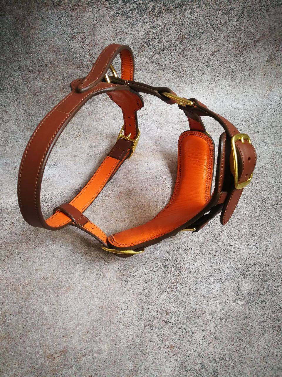 Leather dog best sale harness with handle