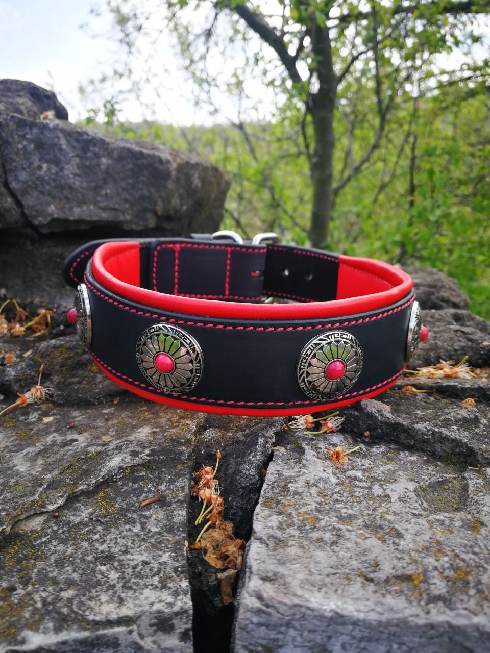 Red Leather Dog Collar with Conchos, Flower Design Dog Collar, Western Dog Collar, Padded Dog Collar with Conchos, Fancy Collar for Girl Dog