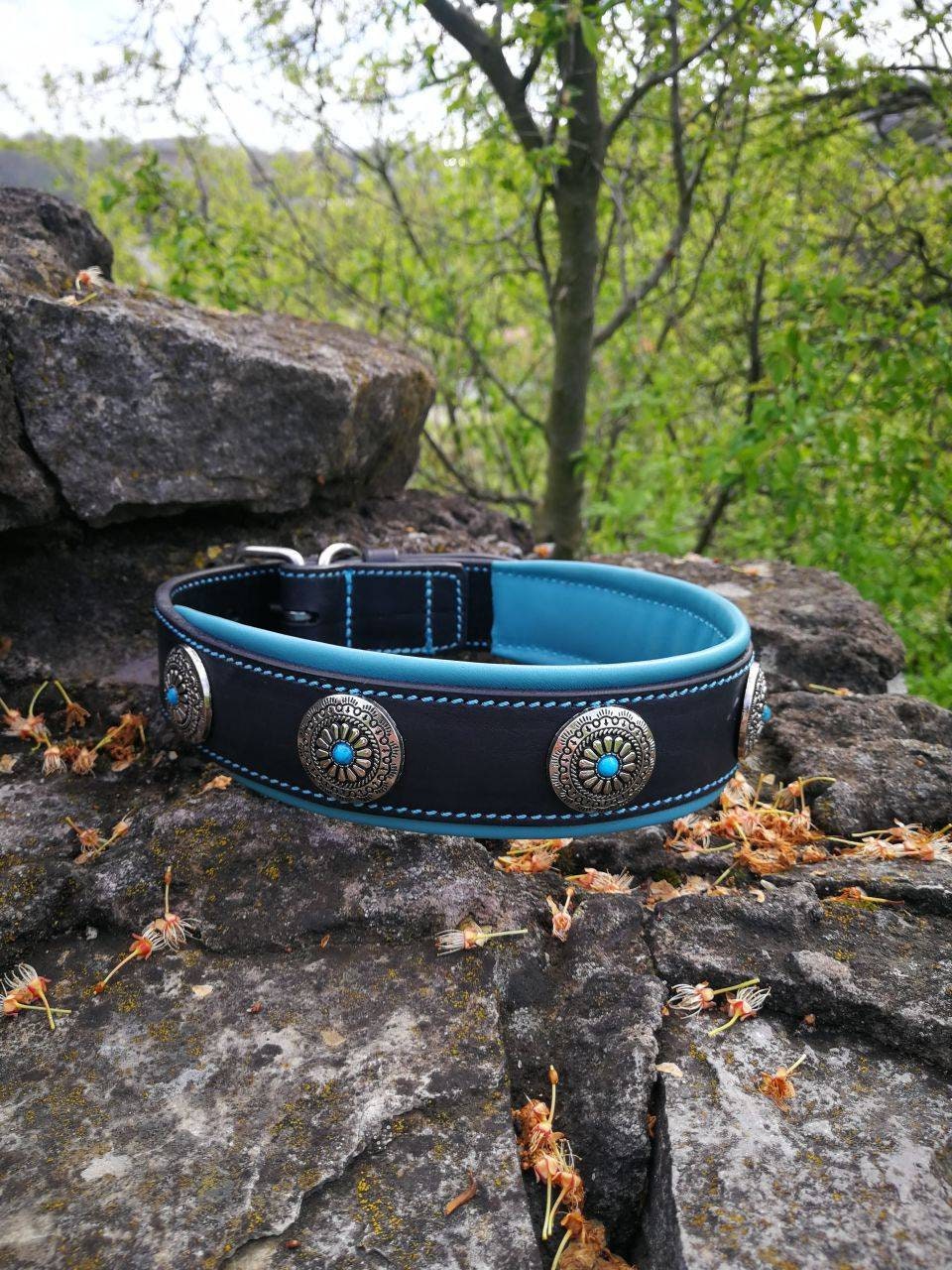 Turquoise Stones Leather Dog Collar, Conchos Dog Collar, 2 in Wide Dog Collar, Western Dog Collar, Size 18-22 in, 45-55 cm Ready to Ship