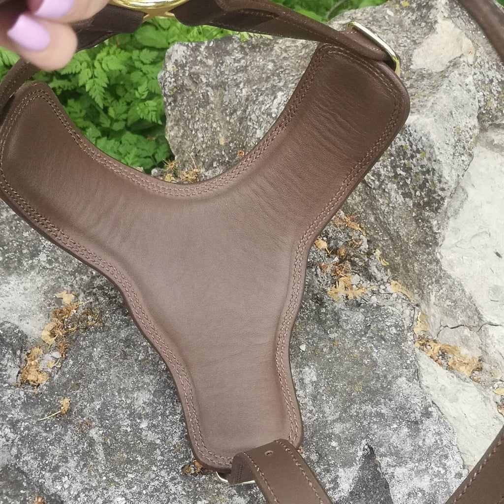 Brown Leather Dog Harness with Handle