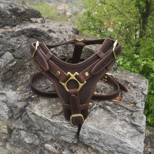 Handmade Leather Dog Harness with Handle, Brass Hardware Dog Harness, Padded Dog Harness, Brown Leather Dog Harness, Custom Dog Harness