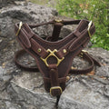 Brown Leather Dog Harness with Handle