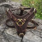Brown Leather Dog Harness with Handle