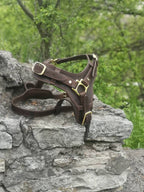 Brown Leather Dog Harness with Handle