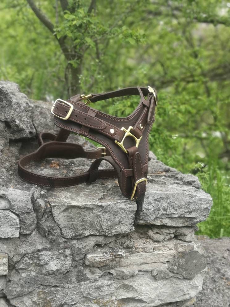 Brown Leather Dog Harness with Handle