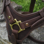 Brown Leather Dog Harness with Handle