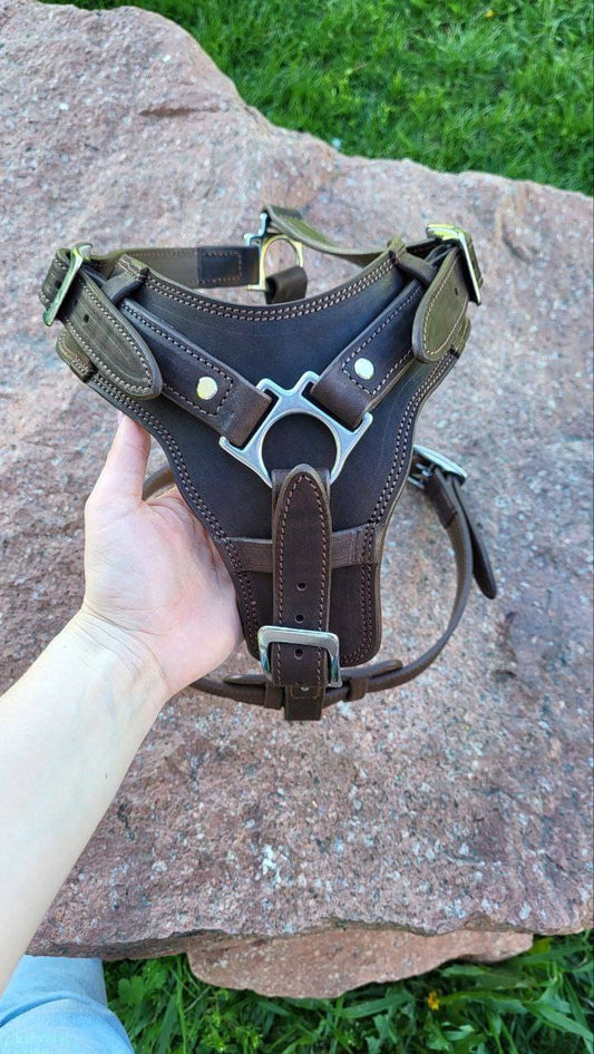 Heavy Duty Leather Harness for Large Dog, Stainless Steel Hardware Leather Dog Harness, Padded Leather Dog Harness, Brown Leather Harness