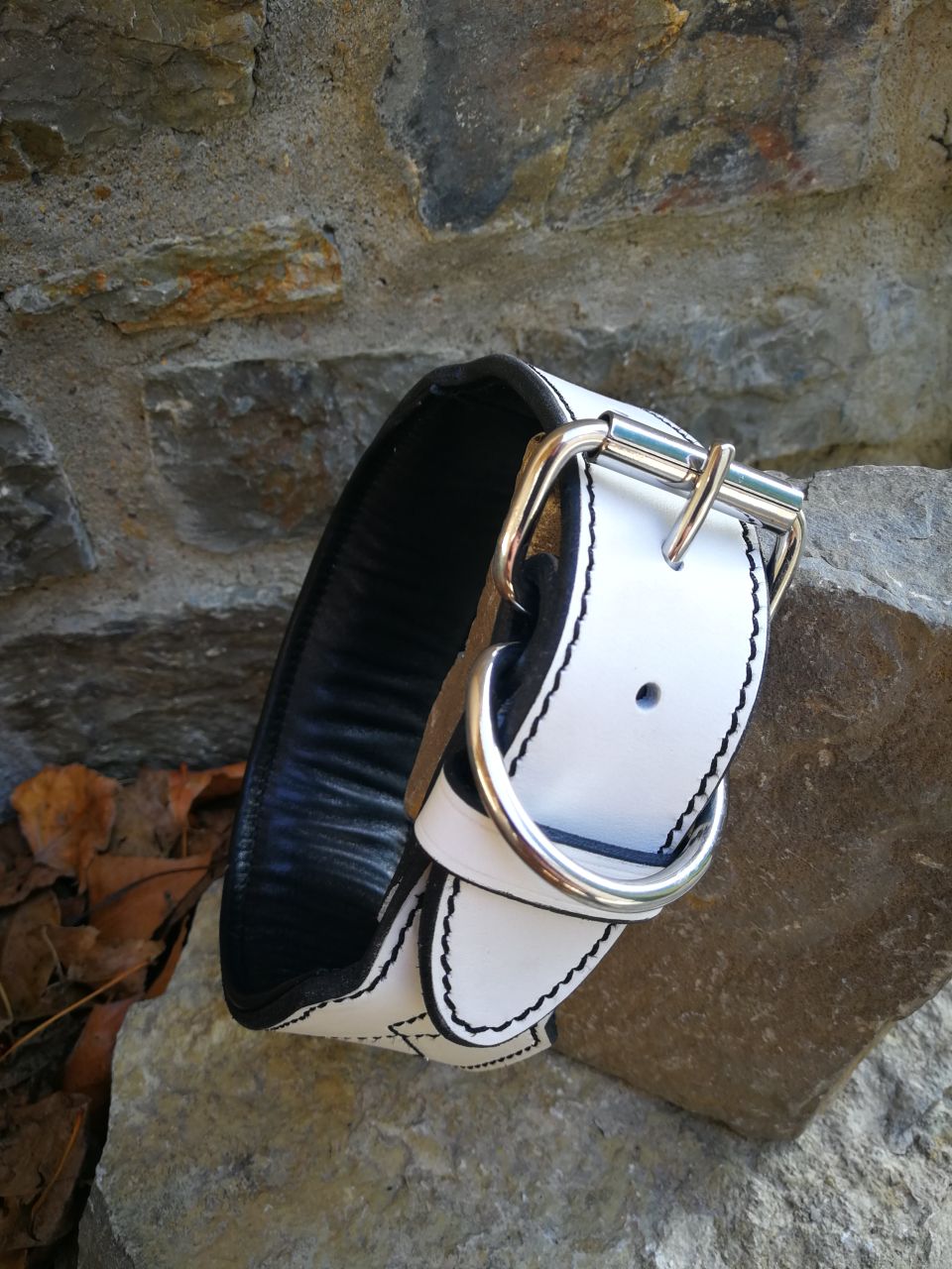 White Leather Dog Collar with Black Padding and Stitch