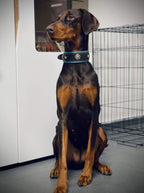 Turquoise Stones Leather Collar