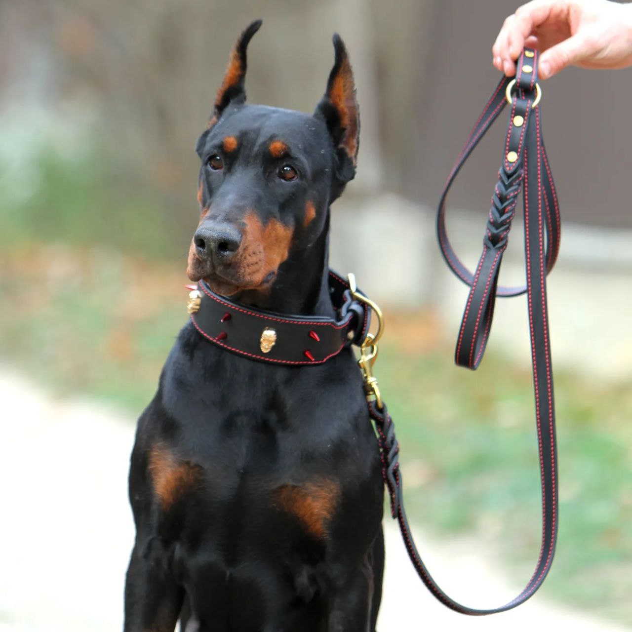 Spiked and Skulls Leather Dog Collar and Leash Set