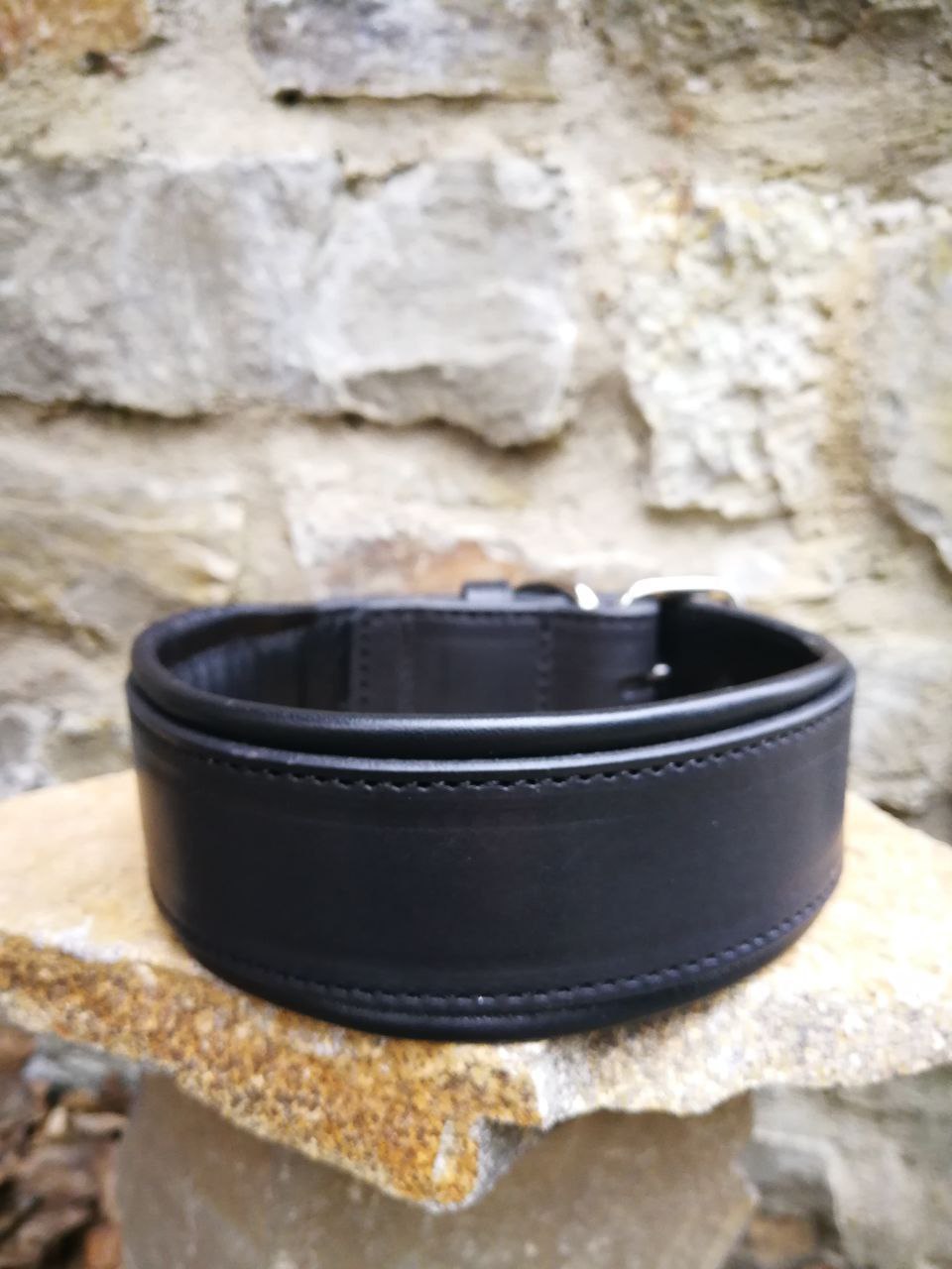 Classic Padded Leather Collar