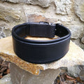 Classic Padded Leather Collar