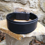 Classic Padded Leather Collar