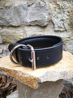 Classic Padded Leather Collar