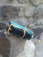 Luxury Leather Dog Collar